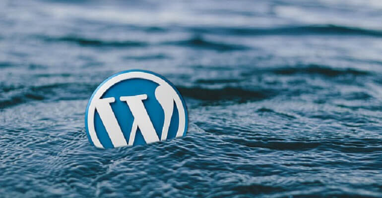 Wordpress SEO